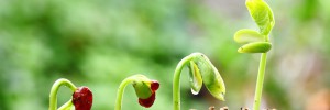 Email-growth